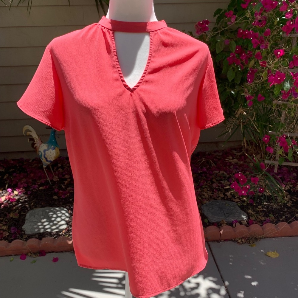 Salmon blouse